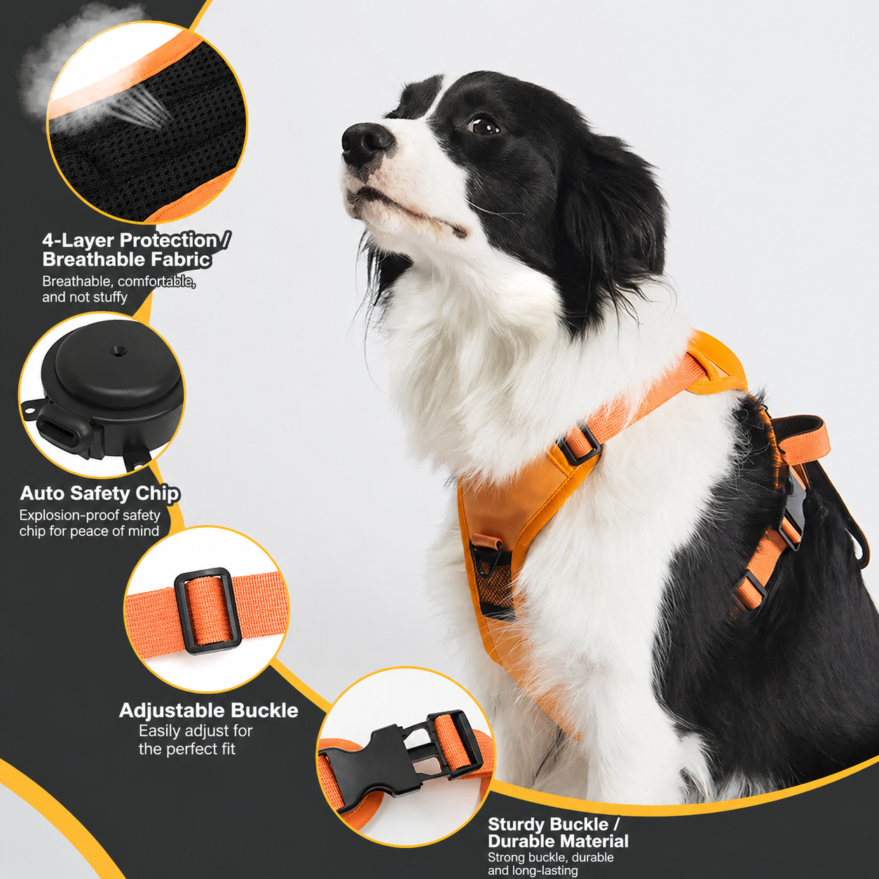 Front Range® Flex Harness