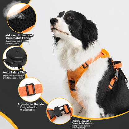 Front Range® Flex Harness