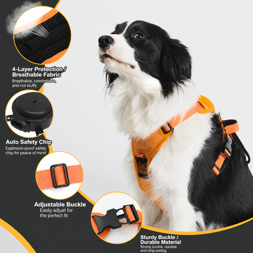 Front Range® Flex Harness