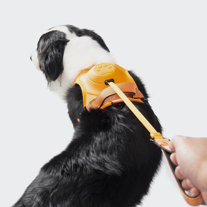 Front Range® Flex Harness