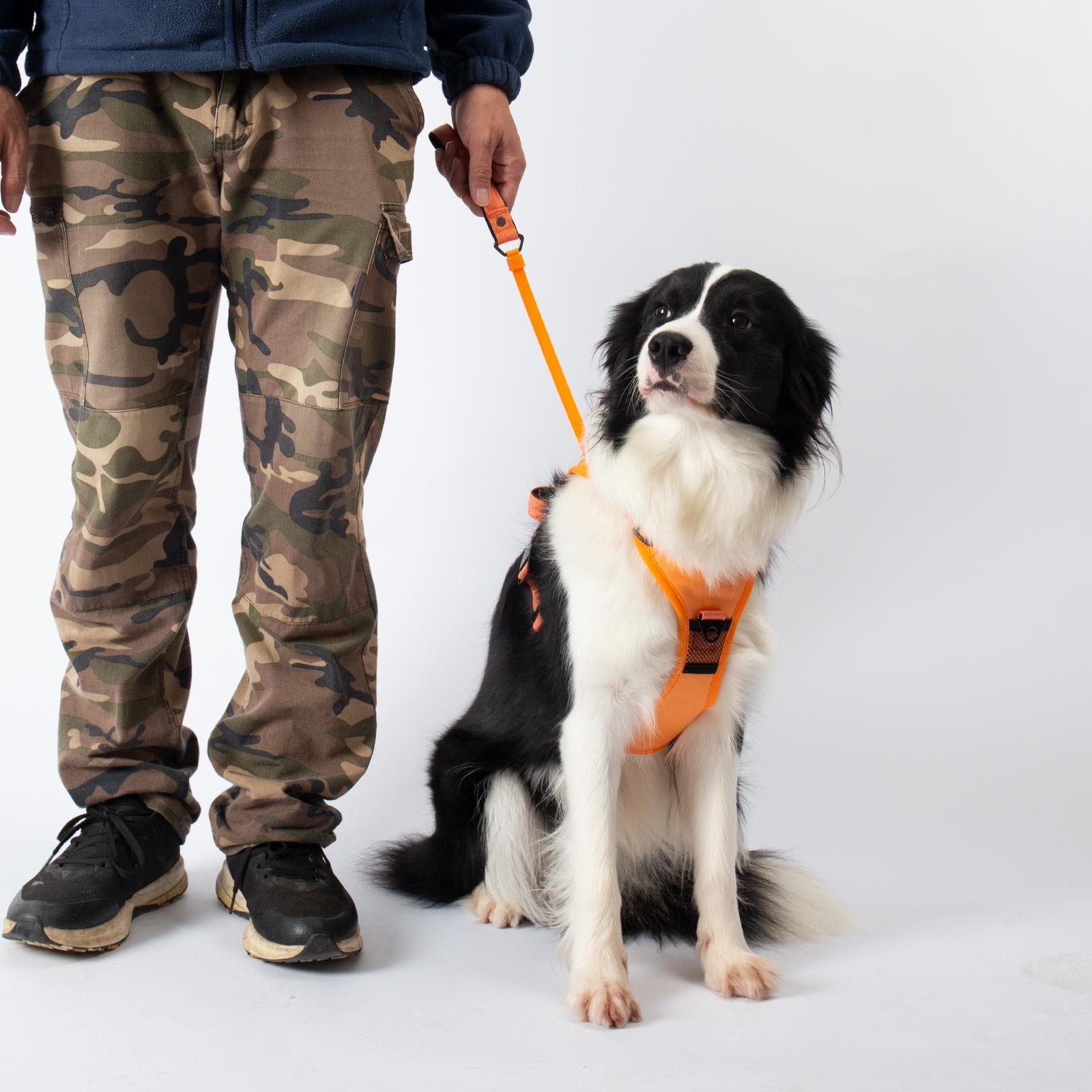 Front Range® Flex Harness