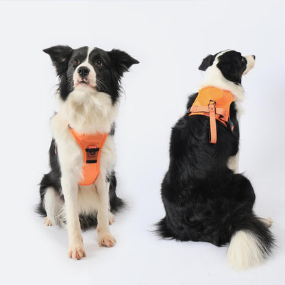 Front Range® Flex Harness