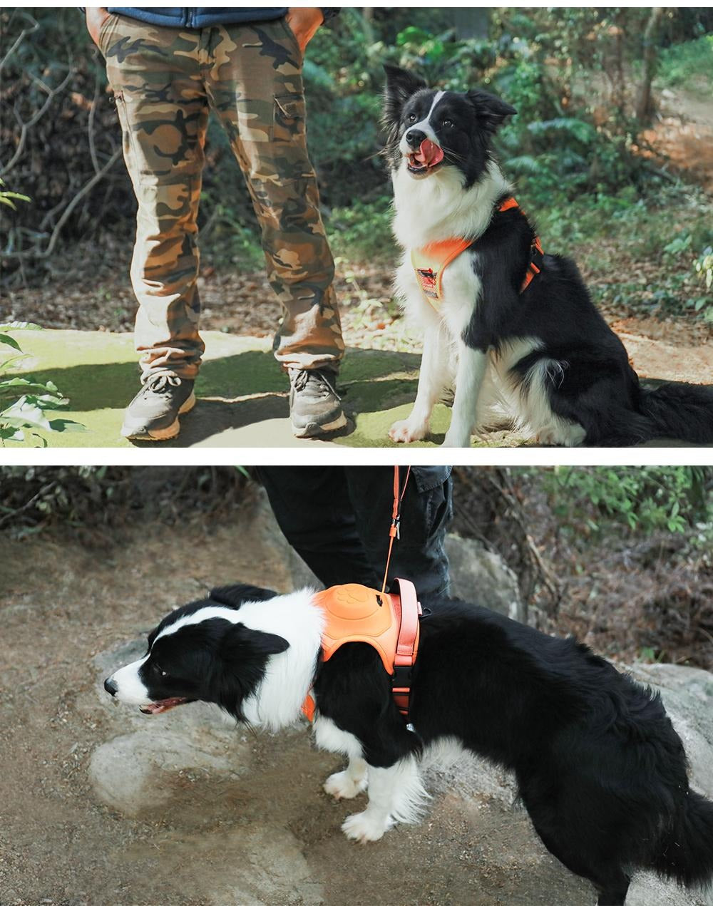 Front Range® Flex Harness